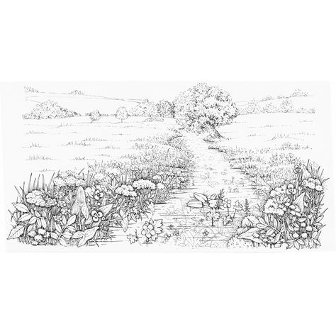 Flower Field Sketch, Marsh Illustration, Meadow Sketch, Meadow Drawing, Moisture Loving Plants, Meadow Illustration, Grass Drawing, Woodland Landscape, Healthy Greens