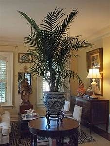 1000+ ideas about British Colonial on Pinterest | British ... Interior Plants Decoration, West Indies Decor, Tropical British Colonial, British West Indies Style, Glam Barbie, White Pots, West Indies Style, British Colonial Decor, British West Indies