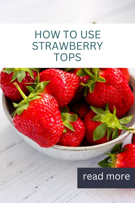 It seems like such a waste to simply throw out the tops of strawberries….that’t why I have compiled a list of the best ways to use strawberry tops! Vitamin Benefits, Strawberry Tops, Benefits Of Vitamin A, Strawberry Topping, Summer Recipes, Strawberries, How To Use, Vitamins, Benefits