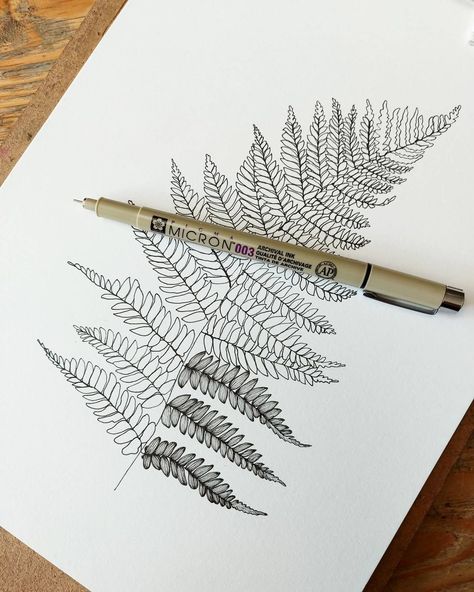 Fern Drawing Tattoo, Watercolour Fern Leaf, Bracken Fern Drawing, Easy Fern Drawing, Fern Pen Drawing, Fern Tattoo Drawing, Fern Wood Burning, Fern Art Drawing, Fern Leaves Drawing