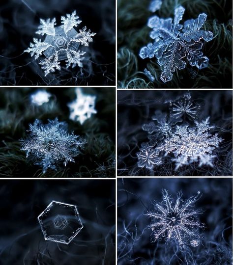 Magnified snowflakes! Stunning inspiration! www.ballabracelets.com #bracelet #jewelry #snow #winter #accessory #style #love I Love Snow, Winter Schnee, Snow Crystal, I Love Winter, Ice Crystals, Winter Magic, Winter Beauty, Snow And Ice, Winter Wonder