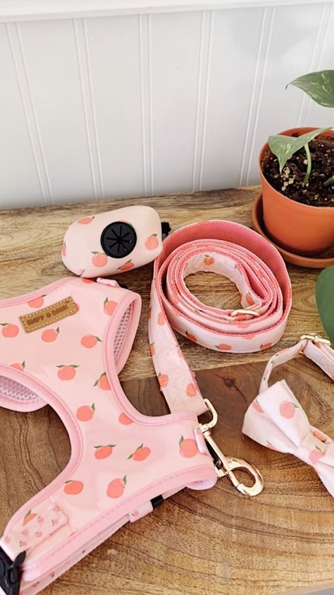 Cute Dog Harness, Puppy List, Preppy Dog, Dog Corner, Puppy Mom, Puppy Accessories, Pet Corner, Dog Walking Bag, Dog Camping