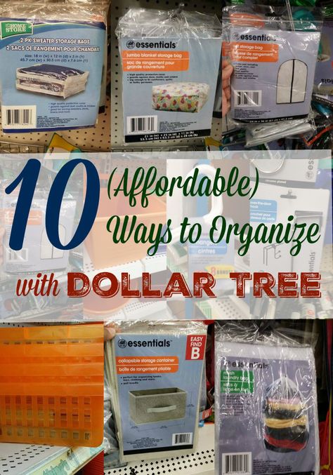 10 Affordable Ways to Organize with Dollar Tree Dollar Tree Clothing Organization, Dollar Tree Storage, Pant Storage, Organizing Stuff, Tree Tshirt, Clothes Dividers, Dollar Tree Organization, Tshirt Organization, Sweater Storage