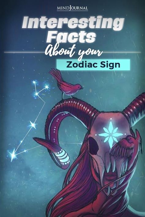 Zodiac Fun Facts, Zodiac Signs Facts Truths Astrology, Facts About Zodiac Signs, Facts About Yourself, Cookie Cheesecake, Horoscope Compatibility, Zodiac Meanings, Horoscope Dates, Zodiac Signs Facts