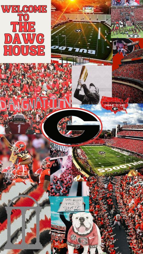 Uga Bulldogs Wallpaper, Georgia Bulldogs Aesthetic, Georgia Bulldogs Football Wallpapers, Ga Bulldogs Wallpaper, Cute Georgia Bulldogs Wallpaper, Uga Wallpapers, University Of Georgia Aesthetic, Georgia Football Wallpaper, Georgia Background