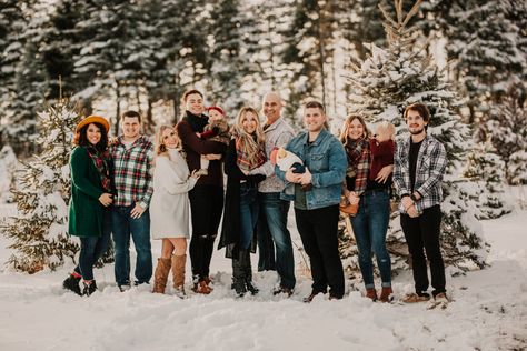 Large Family Photo Outfits Winter, Big Family Christmas Pictures, Large Family Christmas Pictures, Tree Farm Family Photos Outfit, Big Family Christmas, Christmas Tree Farm Pictures, Tree Farm Pictures, Football Senior Pictures, Christmas Photos Outfits