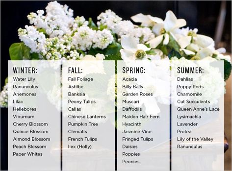 EVERYTHING YOU NEED TO KNOW ABOUT FLORALS May Seasonal Flowers, In Season Flowers November, How To Order Flowers From Florist, June Seasonal Flowers, Flowers In Season In February, What Flowers Are In Season In October, Seasonal Flowers By Month, Wedding Flower Price Guide, Flowers In Season In November