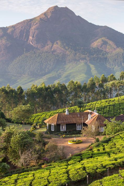 Ganpati Good Morning Image, Good Morning Images Marathi, God Images, Quaint Cottage, Kerala Tourism, In The Middle Of Nowhere, Baby Images, Middle Of Nowhere, Farms Living