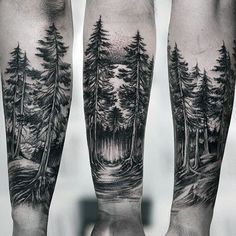 Amazing Guys Forest Inner Forearm Tattoo                                                                                                                                                                                 More Forest Tattoo Sleeve, Natur Tattoo Arm, Forest Tattoo, Nature Tattoo Sleeve, Inner Forearm Tattoo, Tattoo Trend, Forest Tattoos, Tree Tattoo Designs, Wolf Tattoo Design