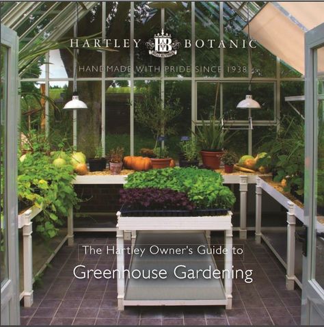 Start A Greenhouse, Outdoor Greenhouse, Greenhouse Garden, Greenhouse Growing, Winter Plants, Gardening 101, Greenhouse Gardening, Potting Shed, Farm Gardens