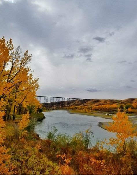 Lethbridge, AB Alberta Prairie, Lethbridge Alberta, Over The Years, Bridge, Natural Landmarks, Water, Hair, Travel