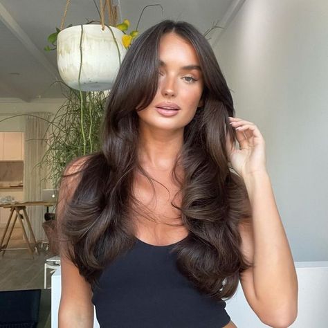 Brunnete Long Layers, Brunette Hair With Face Framing Layers, Hair Colour Ideas For Brunettes 2023, 90s Haircut Long Layers Curtain Bangs, Chocolate Brown Hair With Layers, Dark Brown Layered Hair, Brown Hair Long Layers, Layered Dark Brown Hair, Neutral Brunette Hair Color