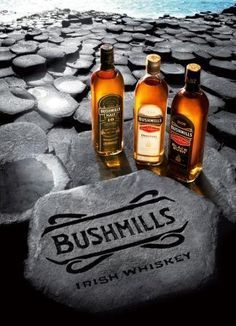 One of the best whiskeys in the world. Made in Northern Ireland. Bushmills Whiskey, Indigenous Food, Irish Drinks, Irish Cuisine, Irish Eyes Are Smiling, Irish Food, Northern Irish, Irish Roots, Irish Eyes