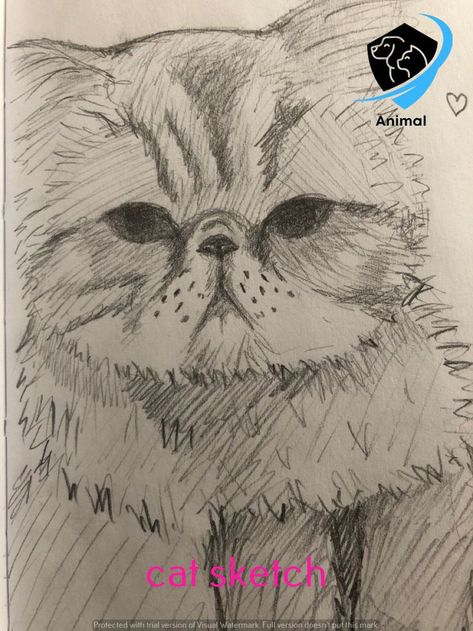 easy sketch cat face sketch cat aesthetic cat drawing sketch ideas portrait sketch sketch pencil cute sketch cat painting body sketch cat wallpaper art sketch pencil sketch inspiration sketch book ideas aesthetic cat sketching art sketch hand sketch aesthetic sketch sketch easy drawing sketch animal art sketch Persian Cat Drawing Sketch, Cat Sketch Tutorial, Cat Face Sketch, Cat Pencil Sketch, Persian Cat Drawing, Kitty Sketch, Realistic Cat Drawing, Albino Cat, Sketch Realistic