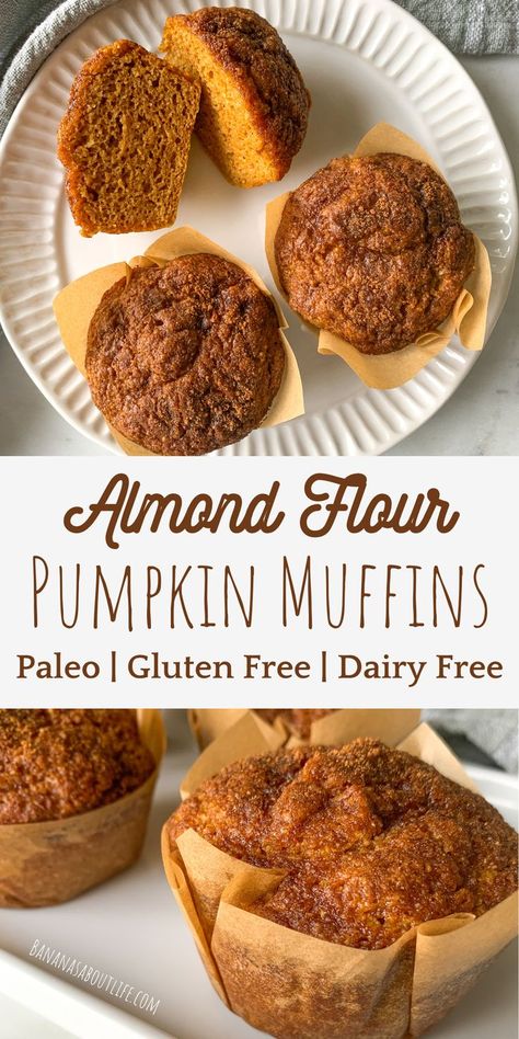 Pumpkin muffins healthy Pumpkin Muffins Almond Flour, Gluten Free Muffins Easy, Dairy Free Pumpkin Muffins, Muffins Made With Almond Flour, Almond Flour Pumpkin Muffins, Almond Flour Pumpkin, Paleo Pumpkin Muffins, Healthy Pumpkin Muffins, Gluten Free Pumpkin Recipes