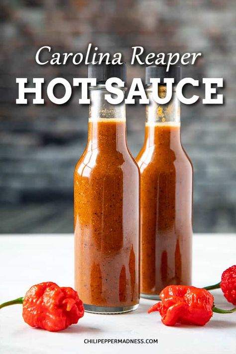 Carolina Reaper Hot Sauce Recipe - This homemade Carolina Reaper hot sauce recipe is incredibly hot, made with roasted Carolina Reaper peppers, garlic, and onion. It doesn’t get any hotter! #HotSauce #CarolinaReaper #Hottest Carolina Reaper Hot Sauce Recipe, Hot Pepper Recipes, Recipes Chili, Carolina Reaper Pepper, Hot Sauce Recipe, Pepper Sauce Recipe, Homemade Hot Sauce, Paprika Sauce, Pepper Recipes