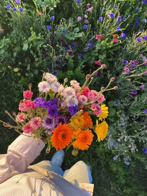 Aesthetic it girl summer wildflower|
cornflower bouquet Wildflower Prom Bouquet, Wildflower Bouquet Aesthetic, If I Had A Flower For Every Time, Wild Flower Aesthetic, Wild Flowers Bouquet, Bouquet Wildflower, Wild Flower Garden, Wildflowers Bouquet, Wild Flower Bouquet