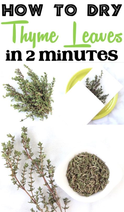 How to Dry Thyme Plant Leaves Fast in Microwave! Perfect for recipes, this is such an easy way to use up your extra thyme from your garden or the grocery store! Drying Thyme, Thyme Uses, Honey Garlic Ribs, Preserve Fresh Herbs, Drying Fresh Herbs, Mason Jar Herbs, Thyme Plant, Mason Jar Herb Garden, Honey Garlic Pork Chops