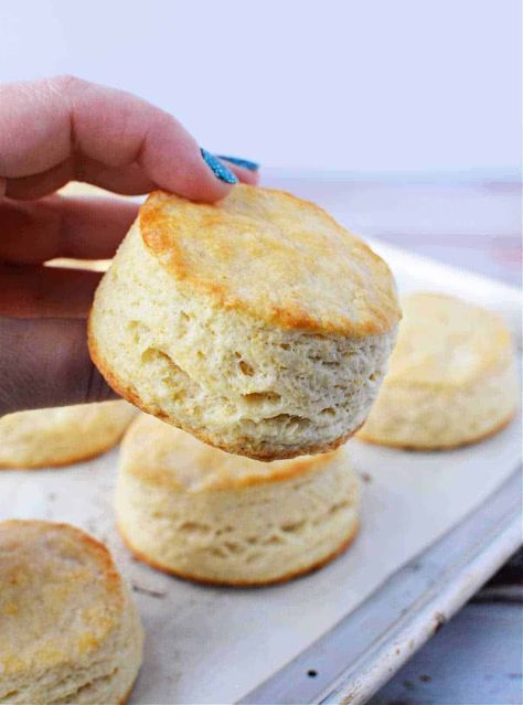 How to make Bisquick biscuits fluffy! The top 3 tips to baking fluffy biscuits in your oven every single time. Best kitchen hack ever. Tea Scones Recipe, Honey Butter Chicken Biscuit, Afternoon Tea Scones, Bisquick Biscuits, Honey Butter Chicken, Easy Homemade Biscuits, English Scones, Scones Recipe Easy, Easy Teas