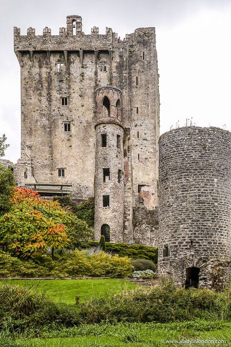 Blarney Stone Ireland, Ireland Core, Celtic Castle, Trilogy Aesthetic, Blarney Castle Ireland, Canadian Mountains, Ireland Castles, Ireland Castle, Ireland Elopement