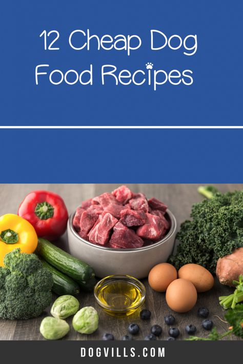 Cheap Dog Food Recipes Homemade, Easy Dog Food Recipes Homemade Instant Pot, Small Dog Recipes, What To Feed Dogs When Out Of Dog Food, Whole Food Dog Food, Cheap Raw Food Diet For Dogs, Cheap Healthy Dog Food Recipes, Fresh Homemade Dog Food, Homemade Dog Food On A Budget