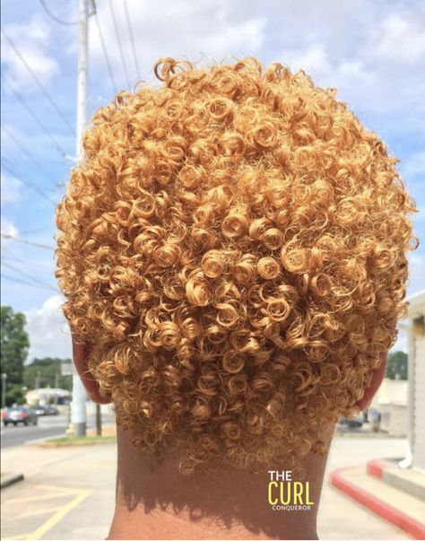 Voice Of Hair, Short Dyed Hair, Short Natural Curly Hair, Color Rubio, Natural Hair Cuts, Honey Brown Hair, Natural Hair Short Cuts, Blonde Curls, Short Sassy Hair