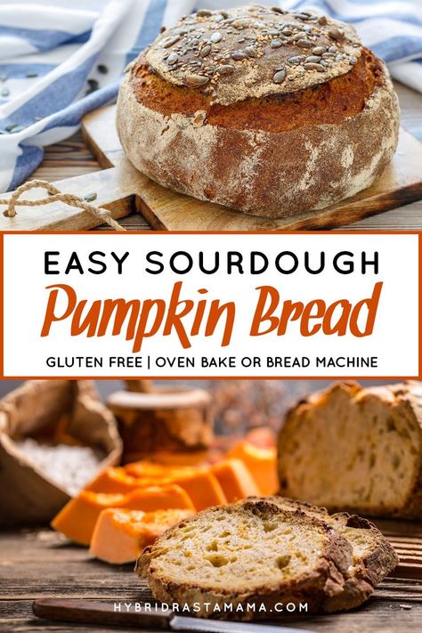 This easy sourdough pumpkin bread is sure to be a hit! It is gluten free and can be oven baked or made in a bread machine. Either way you end of with a golden crust and a fluffy sourdough center. Make some gluten free sourdough pumpkin bread soon! #sourdoughbread #glutenfreesourdoughbread #glutenfreepumpkinsourdoughbread From HybridRastaMama.com Sourdough Pumpkin Bread, Sourdough Desserts, Pumpkin Sourdough, Sourdough Pumpkin, Gluten Free Sourdough Bread, Whole Wheat Sourdough, Gluten Free Sourdough, Pumpkin Cranberry, Pumpkin Bread Recipe