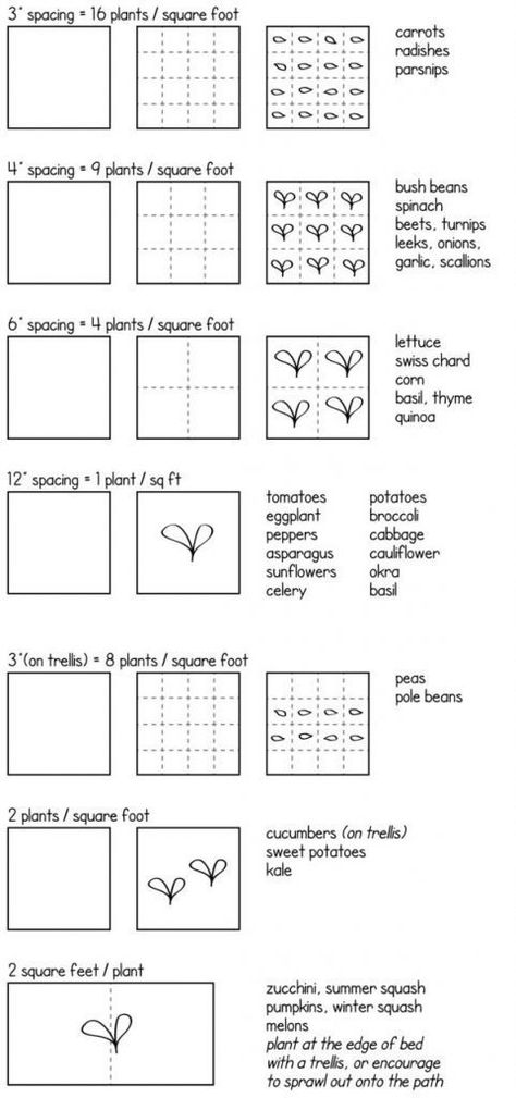 How To Map Out A Vegetable Garden For Newbies | | Black Girls With Gardens Garden Spacing, Plantarea Legumelor, Kebun Herbal, Square Foot Garden, Vegetable Garden Beds, Funny Vine, Garden Layout Vegetable, Urban Farm, Small Backyard Gardens