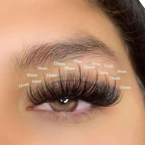 "Enhance your allure with our wispy eyelash extensions. Delicately crafted to add length, volume, and a touch of glamour, these lashes offer a natural yet captivating flutter. The tapered ends create a soft, feathery effect, framing your eyes with elegance. Elevate your look effortlessly and embrace the enchanting allure of wispy lashes. #eyelash #eyelashextension #wispylash #wetlash Long Eyelashes Extensions, Doll Eye Wispy Lash Extensions Mapping, Types Of Eyelashes Extensions, Dolly Lash Mapping, Doll Eye Wispy Lash Extensions, Lash Sets With Mapping Volume, Round Eye Eyelash Extensions, Hybrid Wispy Eyelash Extensions Doll Eye, Wispy Volume Lash Extensions Doll Eye