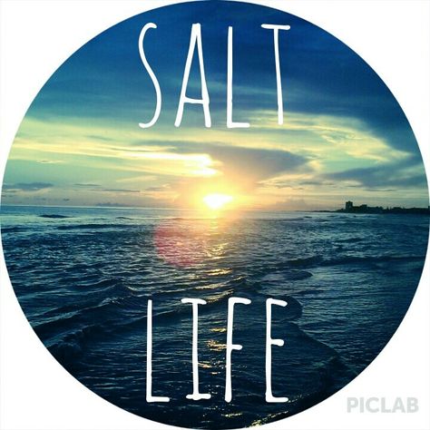 Beach Mural, Muscle Beach, Health Pictures, Beach Stuff, Ocean Quotes, Fav Quotes, Beach Lover, Salt Life, Island Travel