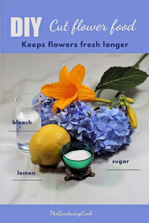 This DIY cut flowers food formula is inexpensive to make. It will make your flowers last longer and is quick to prepare. Don't put up with droopy flowers! Droopy Flowers, Homemade Flower Food, Cut Flower Food, Cut Garden, Flowers Last Longer, Better Homes And Garden, Flower Names, Flower Food, Plant Cuttings