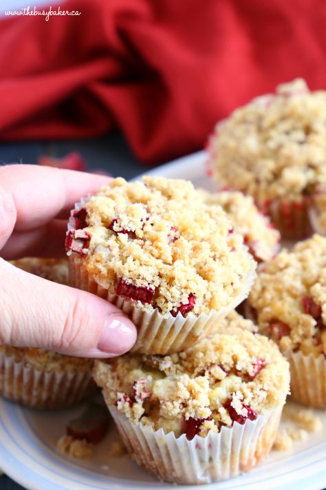 These Best Ever Rhubarb Streusel Muffins are the perfect sweet snack! This is such an easy recipe that's packed with fresh rhubarb and a sweet, crunchy streusel topping!  Recipe from thebusybaker.ca! #rhubarb #recipe #summer #dessert #crumble #cobbler #streusel #streudel #muffins #easy #fun #spring #homemade #video #fruit #homesteading #gardening Strawberry Rhubarb Muffins Easy, Rhubarb Recipes Easy, Rhubarb Streusel Muffins, Easy Rhubarb Recipes, Strawberry Rhubarb Muffins, Rhubarb Cake Recipes, Sweet Snacks Easy, Fresh Rhubarb, Fruit Muffins