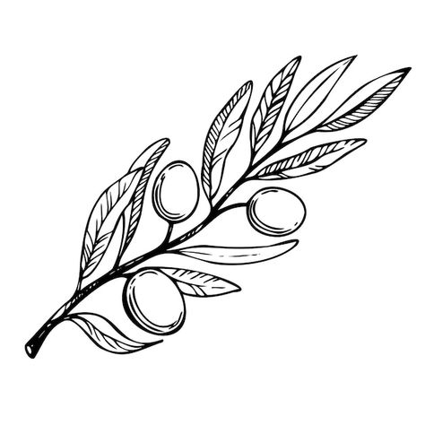 Olives Drawing, Olive Line Drawing, Olive Leaves, Olive Branch Tattoo Linework, Olive Drawing, Olive Sketch, Olive Branch Drawing, Olive Leaf Logo, Olive Illustration