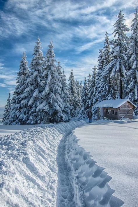 Winter time at the cabin. Lightning Photos, Winters Tafereel, Cozy Cabins, Favourite Season, Amazing Landscapes, Winter Blue, Snow Days, Winter Woodland, Blue Winter