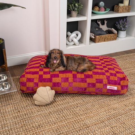 Add a splash of color to any room with our bold, modern dog or cat bed. Filled with comfortable plush fibers, this pillow-style bed has a removable, washable cover. Our colorful designs add a Bohemian touch to any interior, and the plush cover offers cozy comfort your pet will love. Mid Century Dog Bed, Neutral Dog Bed, Modern Dog Bed, Dachshund Bed, Reversible Plush, Dog Bed Modern, Dog Brand, Pet Camping, Dog Girl