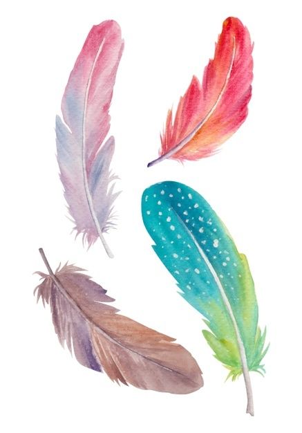 Watercolor feathers Premium Vector | Premium Vector #Freepik #vector #watercolor #colorful #feather #illustration Colorful Feather Drawing, Feather Illustration Design, Paintings Of Feathers, Watercolor Feather Painting, Feather Painting Ideas, Watercolour Feathers, Feather Drawings, Feathers Drawing, Drawing Feathers