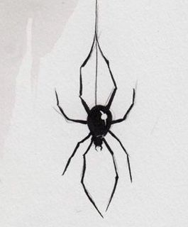 Spider Tattoo, Tattoo Style Drawings, Tattoo Sketches, Tattoo Style, Black And White, Tattoos, Drawings, Wall, White