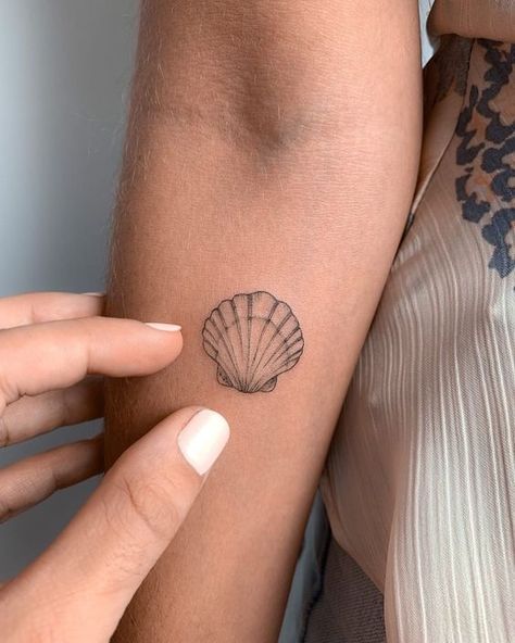 Tattoo Inspiration, Tropisches Tattoo, Seashell Tattoos, Bauch Tattoos, Shell Tattoos, Handpoke Tattoo, Muster Tattoos, Inspiration Tattoos, Dainty Tattoos