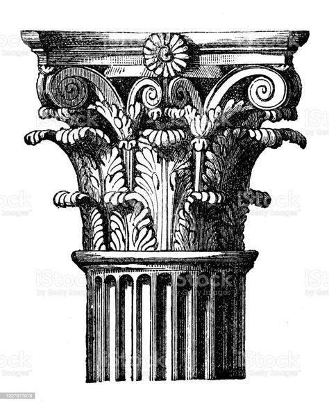 Greece Corinthian Capital. /Nancient Greek Corinthian Capital. Line Engraving Corinthian Capital, Column Capital, Architectural Columns, Greek Columns, Corinthian Column, Roman Columns, Interior Design Resources, Architecture Drawing Art, Antique Illustration