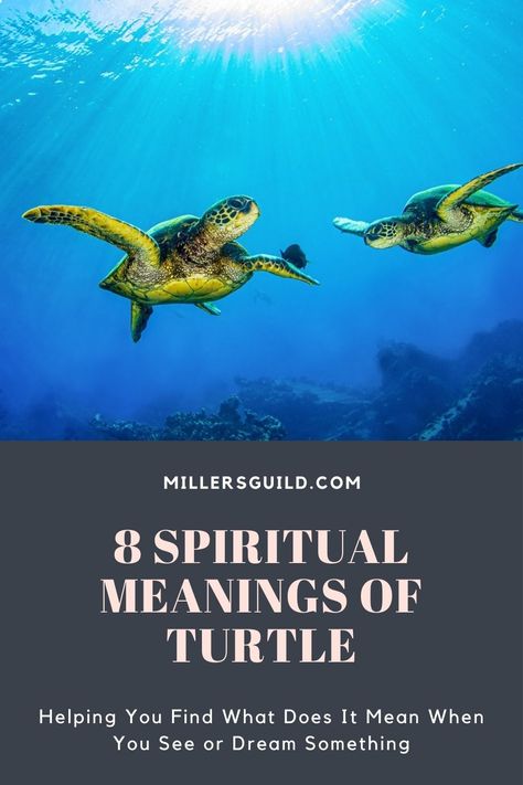 8 Spiritual Meanings of Turtle Turtle Tattoo Meaning, Animals Symbolism, Turtle Meaning, Hawaiian Turtle Tattoos, Turtle Spirit Animal, Turtle Symbolism, Turtle Quotes, Sea Turtle Pictures, Spirit Animal Meaning