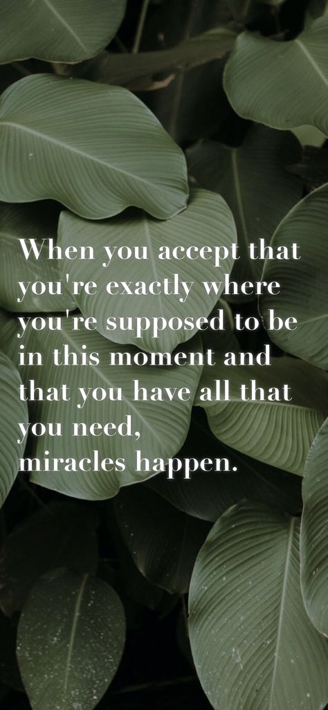 Jordan Belfort, Romans 8 38-39, Believe In Miracles, Better Things, Hard Days, Miracles Happen, Staying Positive, To Be Happy, Don't Give Up