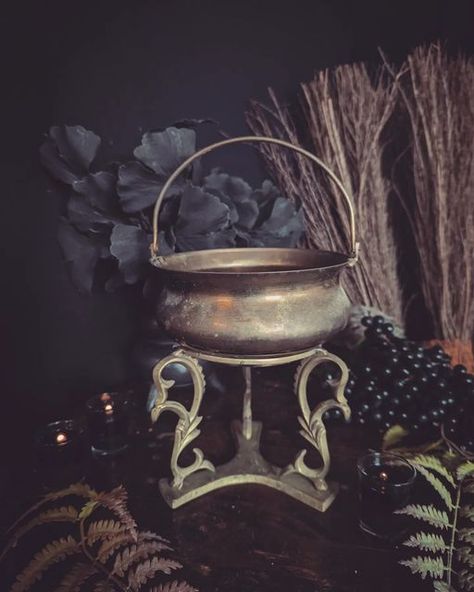 Magic Potion, Witch Aesthetic, Kitchen Products, Wedding Centerpieces, Link In Bio, Witch, Spirituality, Holiday Decor, Coffee