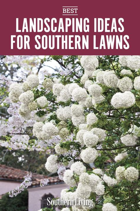 Backyard Planting Ideas Landscaping, Front Yard Landscaping Ideas With Shrubs, Southern Style Landscaping, Southern Landscaping Ideas Front Yard, Front Yard Landscaping Tennessee, South Alabama Landscaping, Louisiana Landscape Ideas, Shrubs For Side Of House, Landscaping Around Back Porch