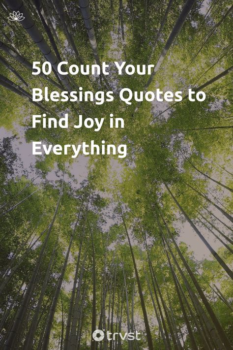 Life Blessings Quotes, Faith Meaning Quotes, Count Your Blessings Quotes Be Thankful, I’m Blessed Quotes, Being Blessed Quotes, Be Blessed Quotes, Grateful For Life Quotes, God Blessings Quotes, Always Be Kind Quotes