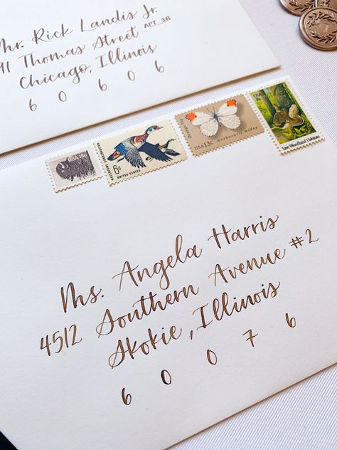 Guest Addressing Envelopes, Envelope Handwriting, Hand Lettering Envelopes, Letters Calligraphy, Wedding Envelope Calligraphy, Calligraphy Envelope Addressing, Fancy Envelopes, Diy Calligraphy, Addressing Wedding Invitations