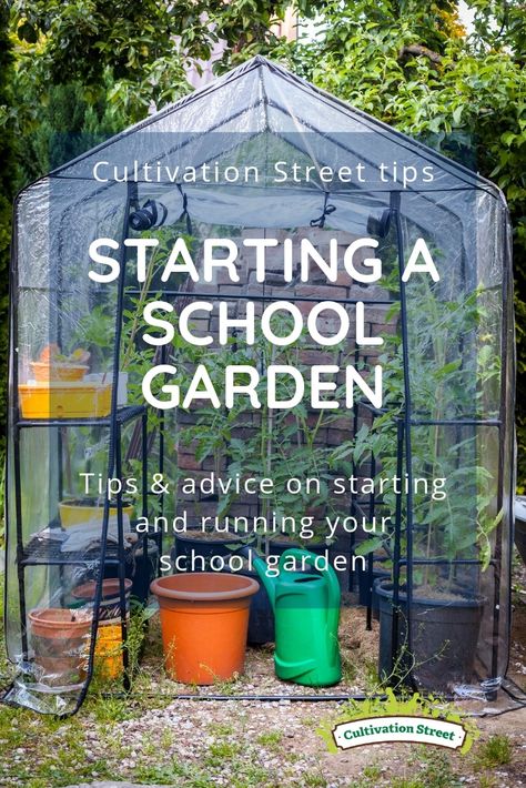 School Veggie Garden, School Greenhouse Ideas, Primary School Garden Ideas, Small School Garden Ideas, Middle School Garden, School Gardening Club Ideas, School Garden Layout, School Allotment Ideas, School Garden Design Outdoor Classroom