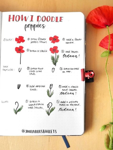 A simple doodle tutorial to draw poppies. Poppy Doodles Easy, Poppy Drawing Simple Step By Step, How To Draw A Poppy, How To Draw A Poppy Flower, Poppy Flower Drawing Simple, Poppy Drawing Simple, How To Draw Poppies, Poppies Doodle, Draw Poppies