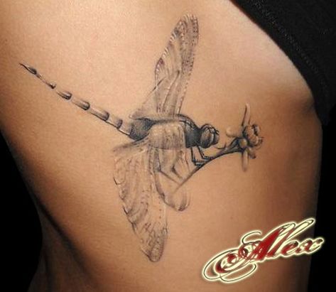 40 dragonfly tattoo Watercolor Dragonfly Tattoo, Tattoo Mafia, Small Dragonfly Tattoo, Flying Tattoo, Dragonfly Tattoo Design, Geniale Tattoos, Dragonfly Tattoo, 1 Tattoo, Design Tattoo