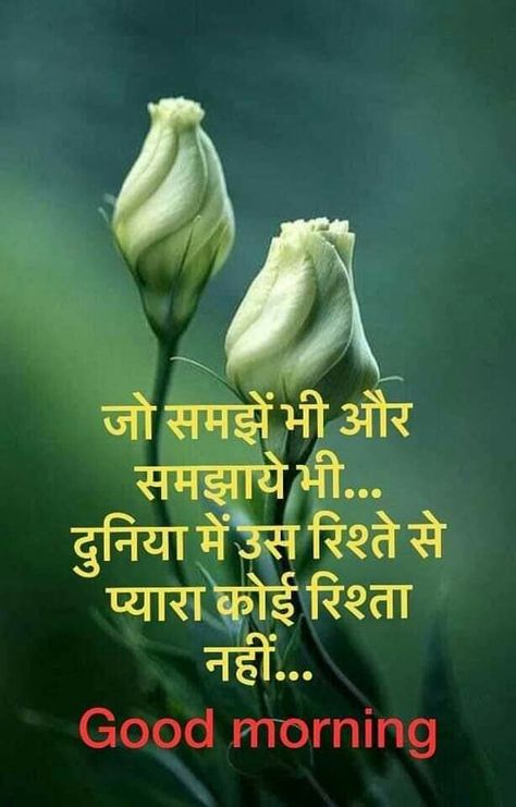 Good Morning Hindi, Good Morning Motivational Messages, Good Morning Quotes Friendship, Good Morning Posters, Good Morning Massage, Love Good Morning Quotes, Beautiful Morning Quotes, Morning Message, Hindi Good Morning Quotes