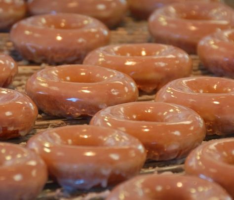 Glazed Doughnuts Recipe, National Doughnut Day, Doughnuts Recipe, Krispy Kreme Donuts, Krispy Kreme Doughnut, Glazed Donuts, Glazed Doughnuts, Doughnut Recipe, Krispy Kreme